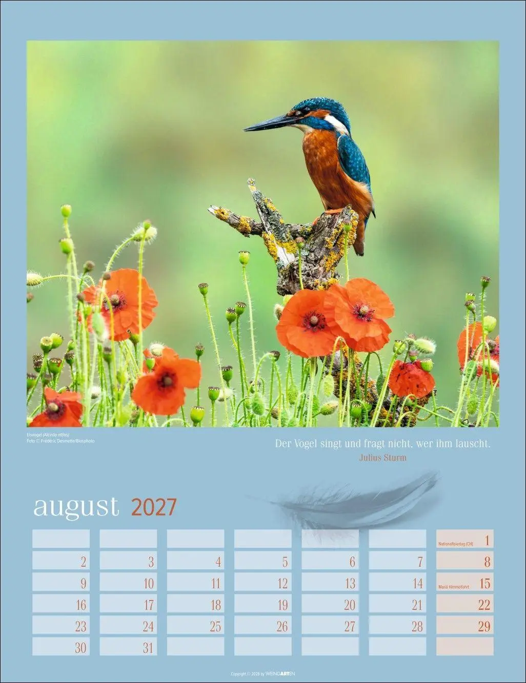 Bild: 9783839903889 | Heimische Vögel Kalender 2027 | Kalender | Tierkalender Weingarten
