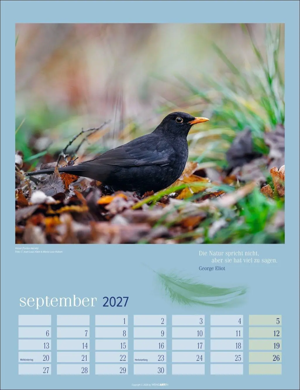 Bild: 9783839903889 | Heimische Vögel Kalender 2027 | Kalender | Tierkalender Weingarten
