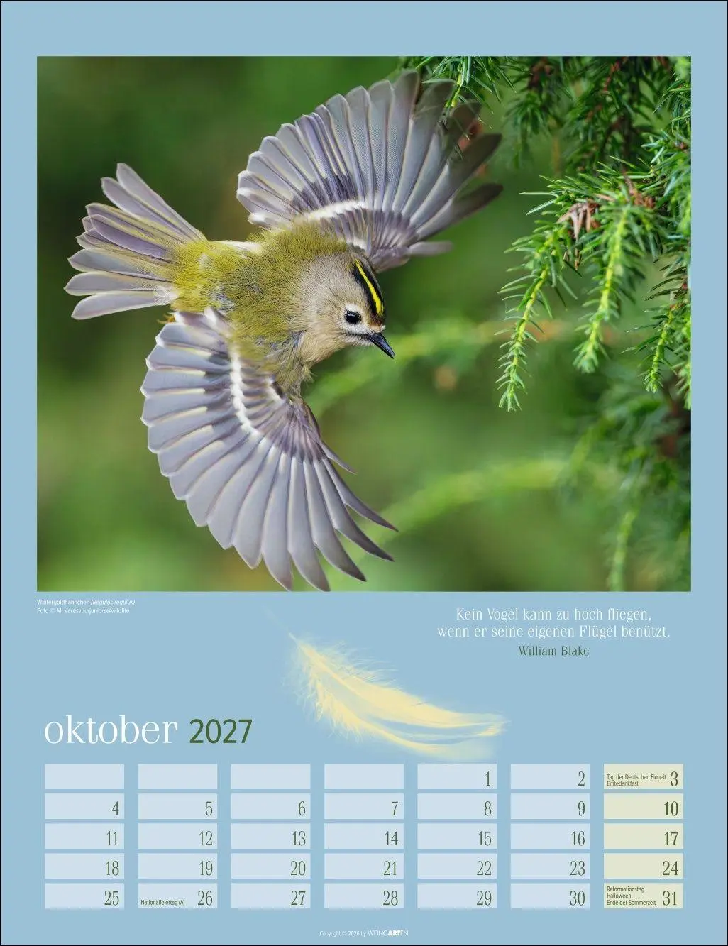 Bild: 9783839903889 | Heimische Vögel Kalender 2027 | Kalender | Tierkalender Weingarten