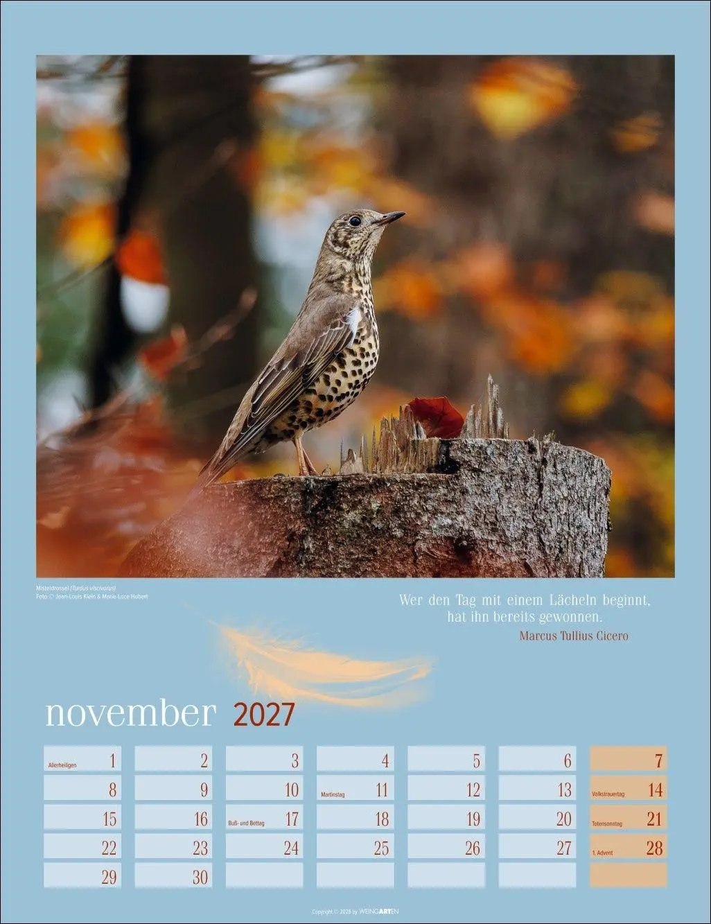 Bild: 9783839903889 | Heimische Vögel Kalender 2027 | Kalender | Tierkalender Weingarten