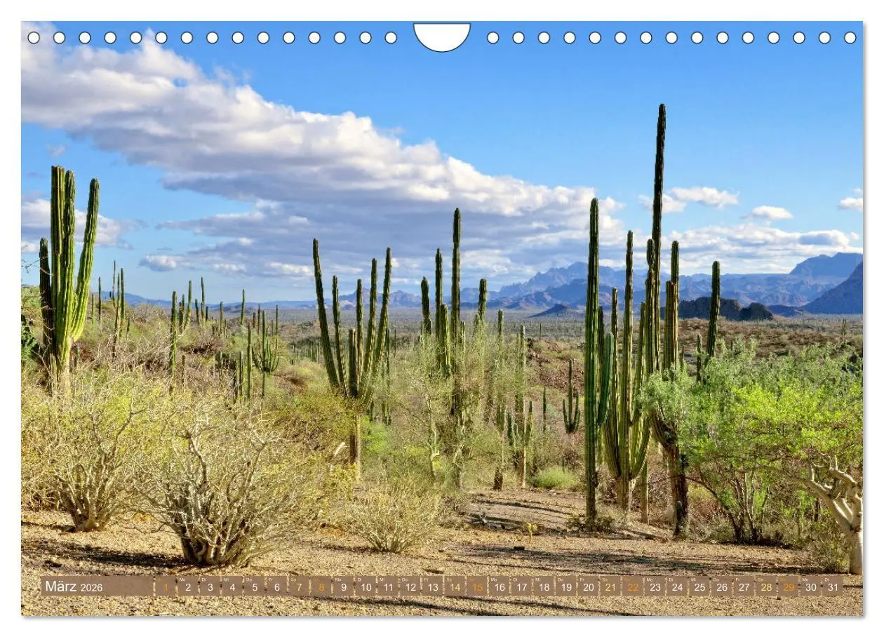 Bild: 9783457373989 | Mexiko: Natur mit Geschichte (Wandkalender 2026 DIN A4 quer),...