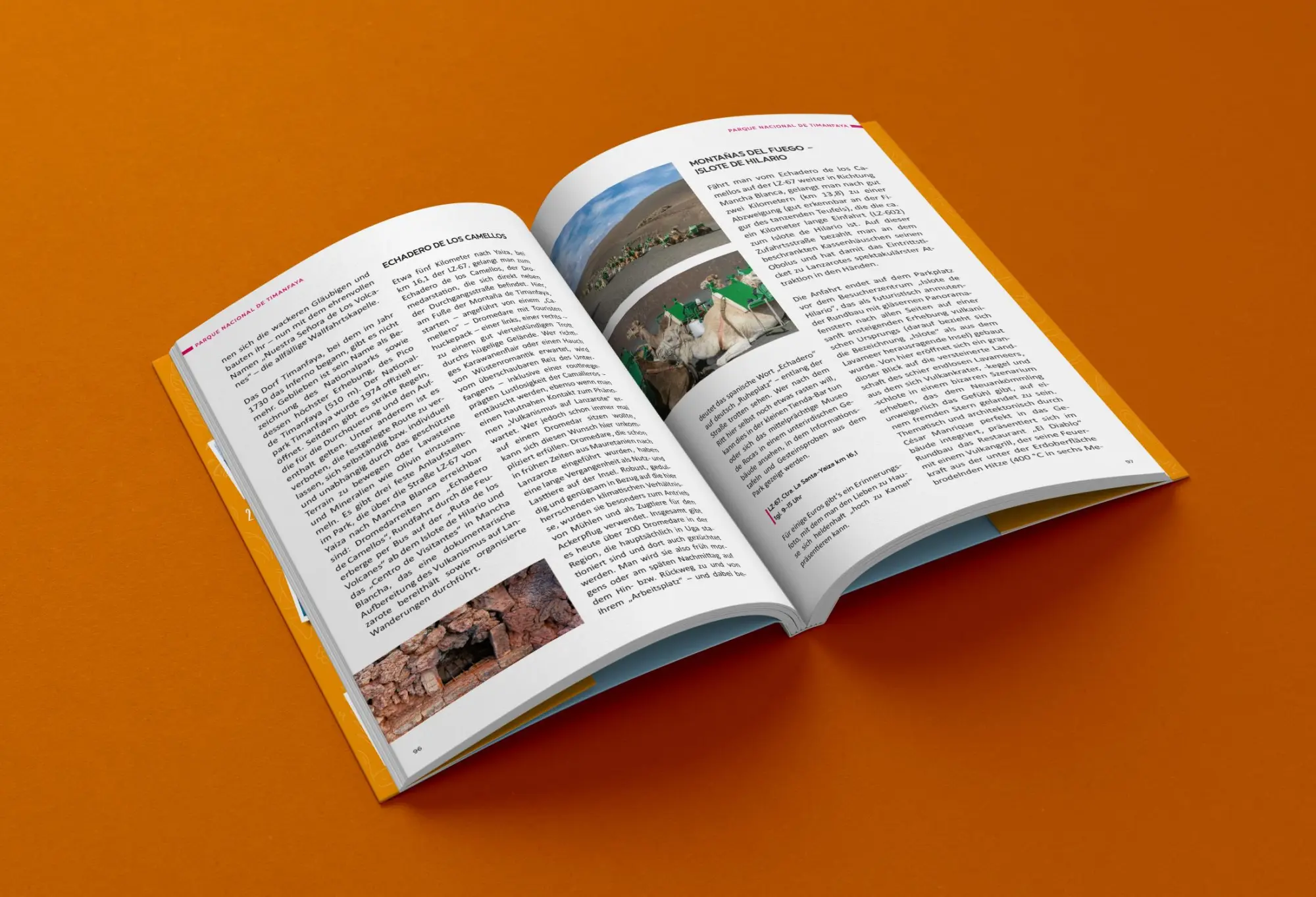 Bild: 9783861123989 | Mehr Erleben auf Lanzarote 2025 | Thomas Schlegel | Taschenbuch | 2025