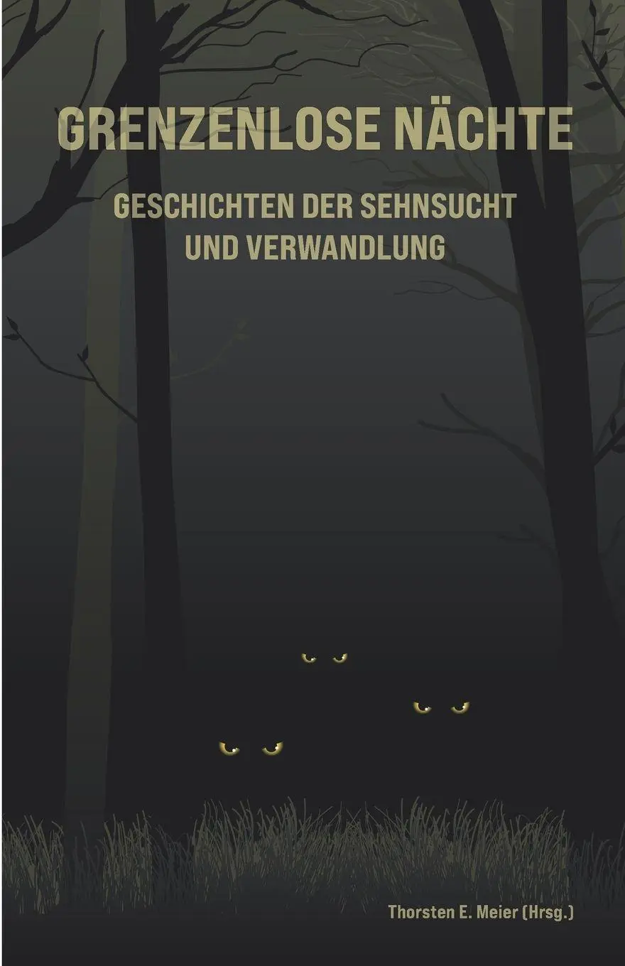 Cover: 9783990513989 | Grenzenlose Nächte - Geschichten der Sehnsucht und Verwandlung | Meier