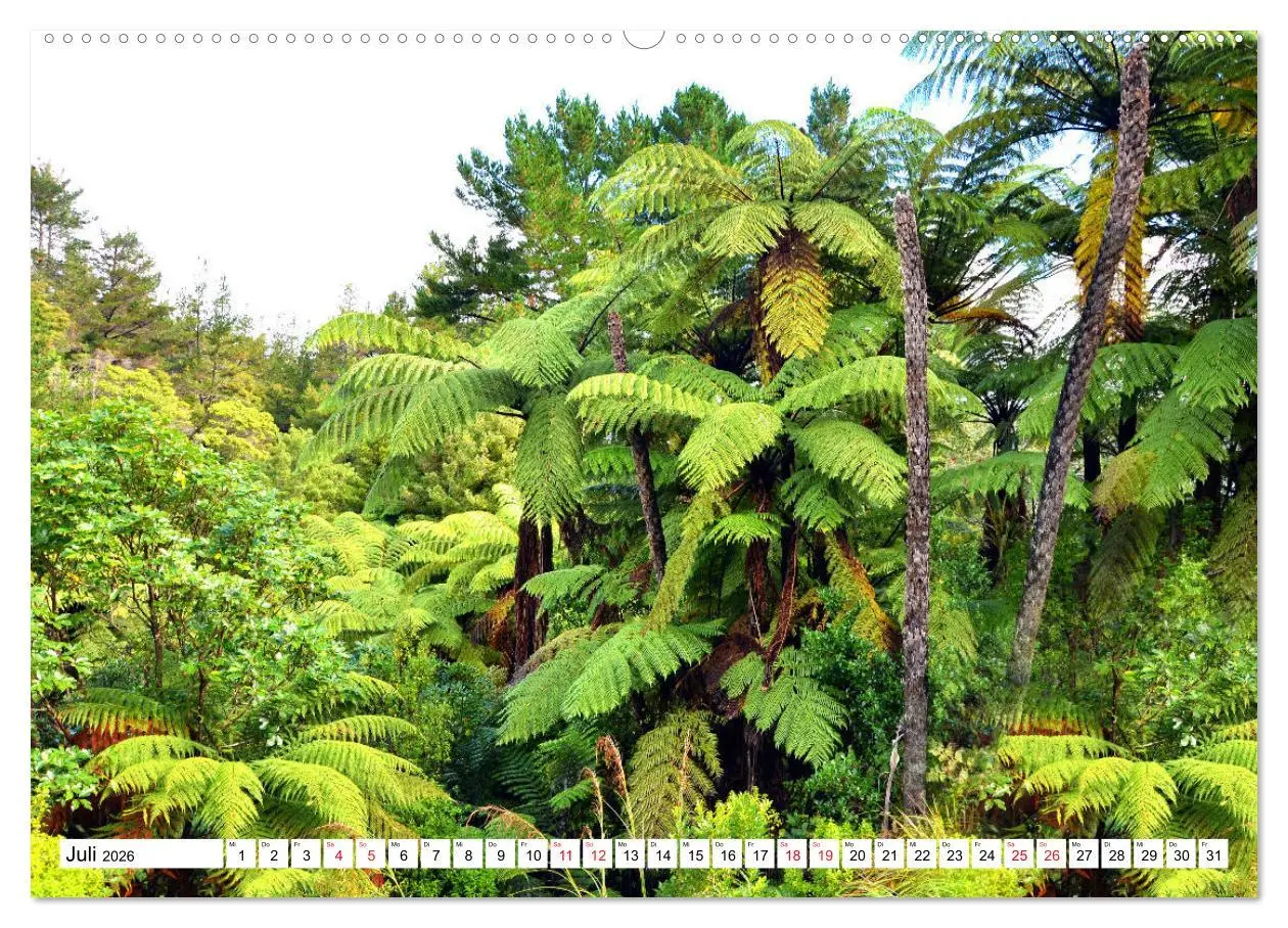 Bild: 9783457704189 | Neuseeland Nordinsel - faszinierende Orte am anderen Ende der Welt...