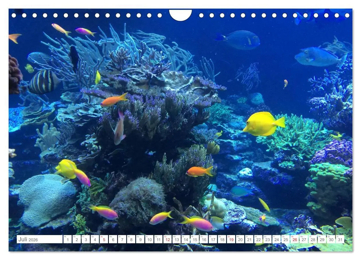 Bild: 9783516104189 | Malediven - Traumstrände im Paradies (Wandkalender 2026 DIN A4...