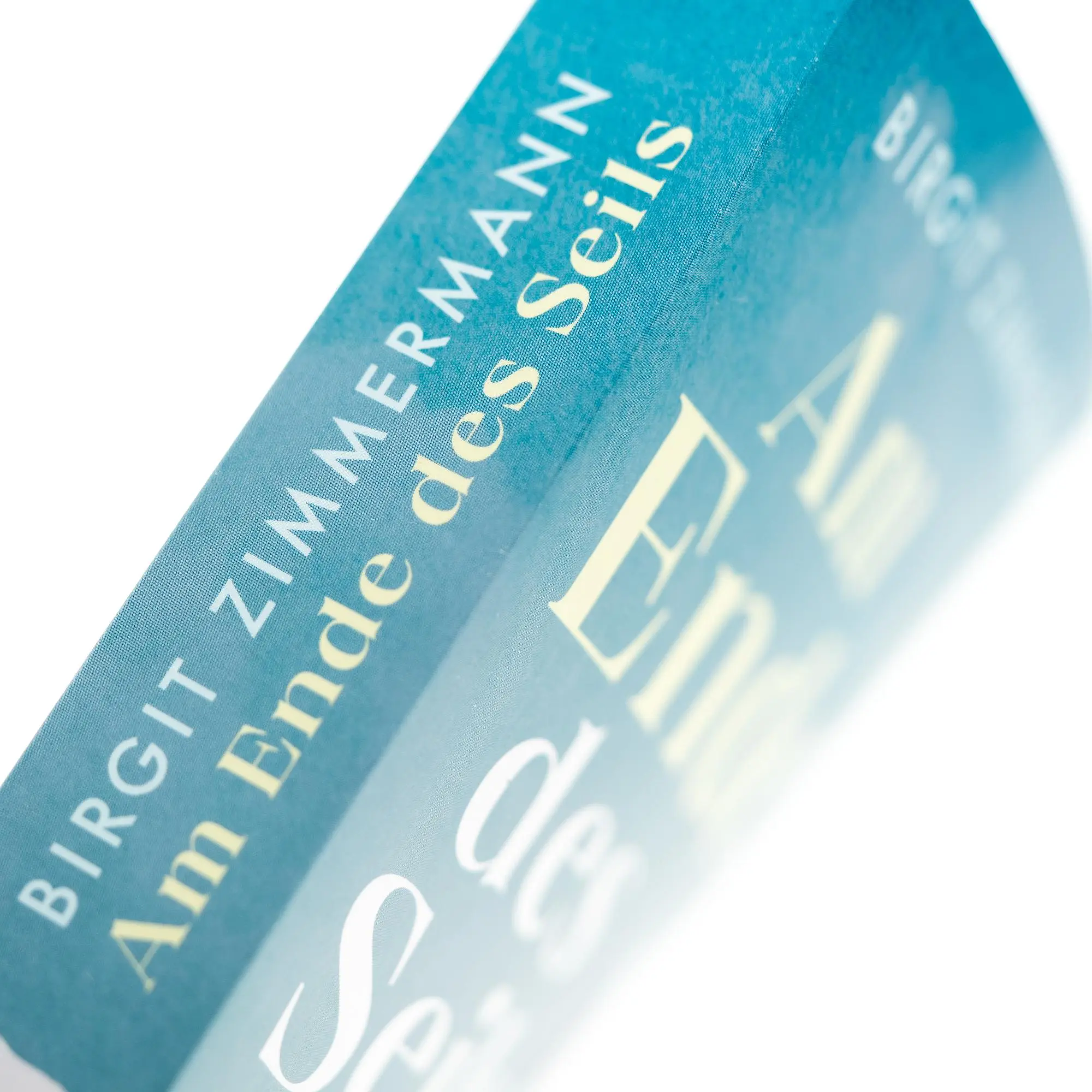 Bild: 9783365004289 | Am Ende des Seils | Birgit Zimmermann | Taschenbuch | 384 S. | Deutsch