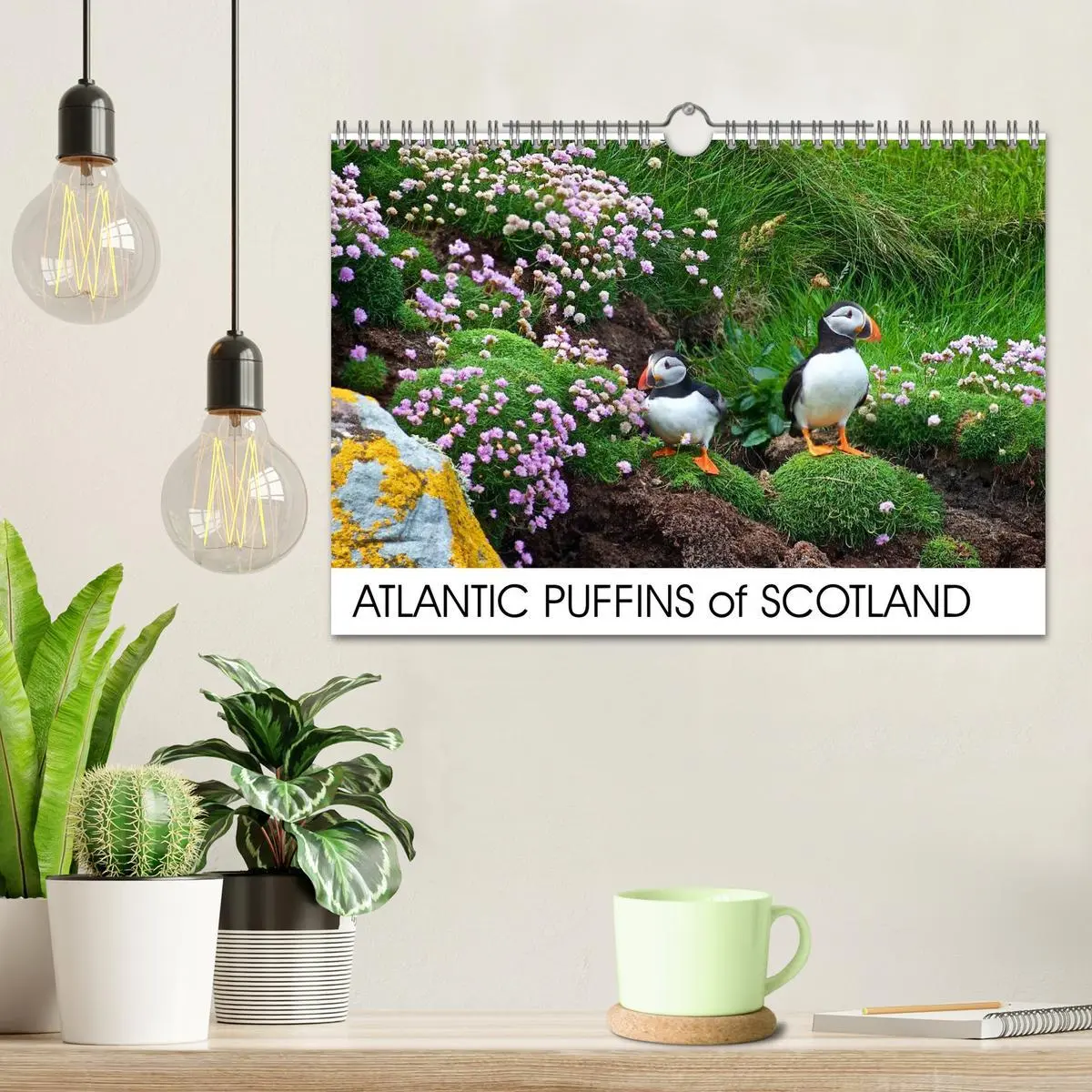 Bild: 9783516574289 | ATLANTIC PUFFINS OF SCOTLAND (Wall Calendar 2026 DIN A4 landscape),...