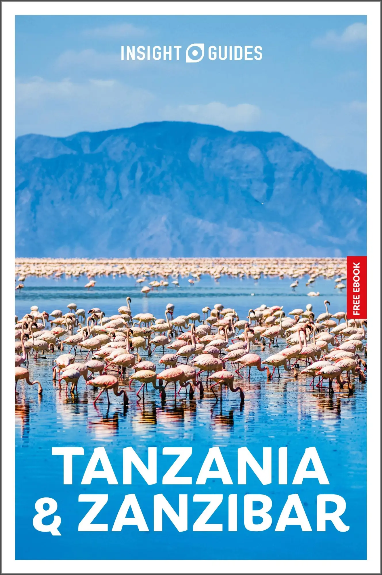Cover: 9781839054389 | Insight Guides Tanzania and Zanzibar: Travel Guide with eBook | Briggs