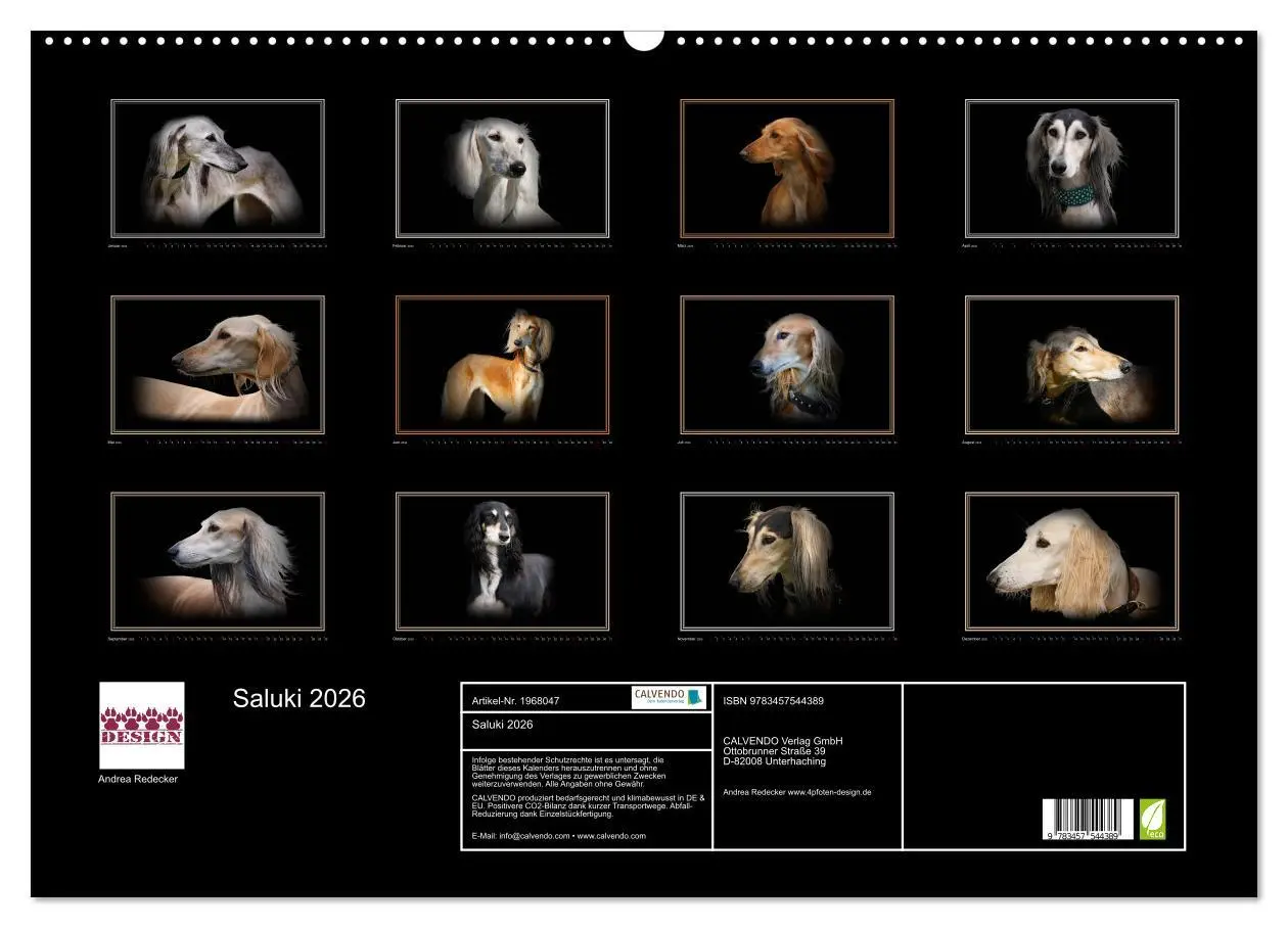 Bild: 9783457544389 | Saluki 2026 (Wandkalender 2026 DIN A2 quer), CALVENDO Monatskalender