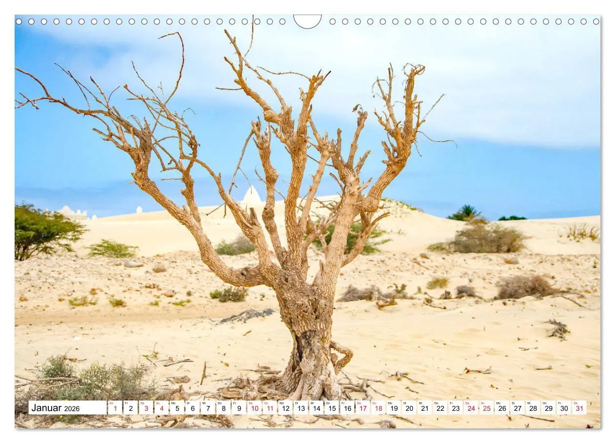 Bild: 9783457784389 | Boa Vista - die drittgrößte Kapverdische Insel (Wandkalender 2026...