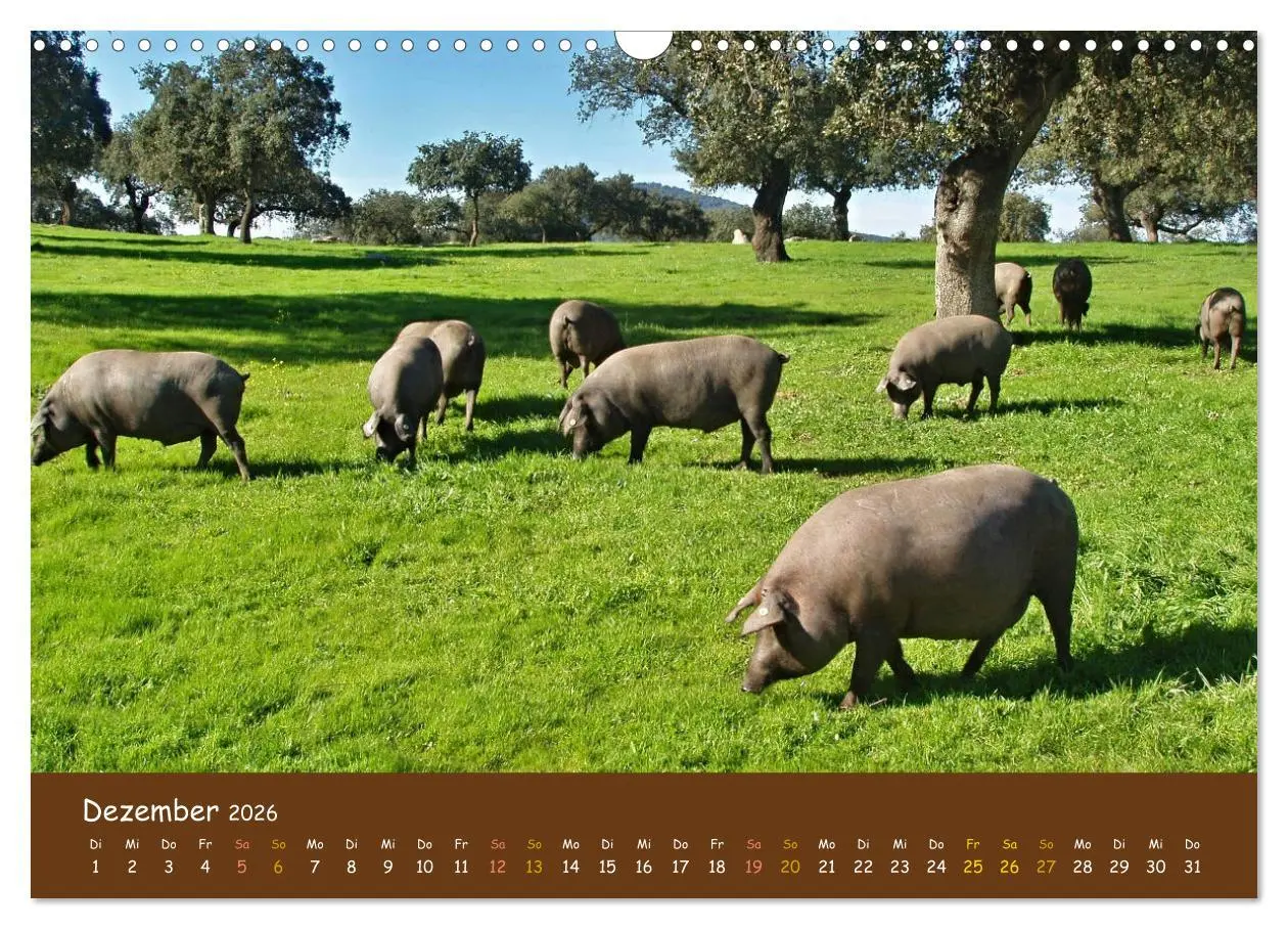 Bild: 9783457604489 | Extremadura Spanien (Wandkalender 2026 DIN A3 quer), CALVENDO...