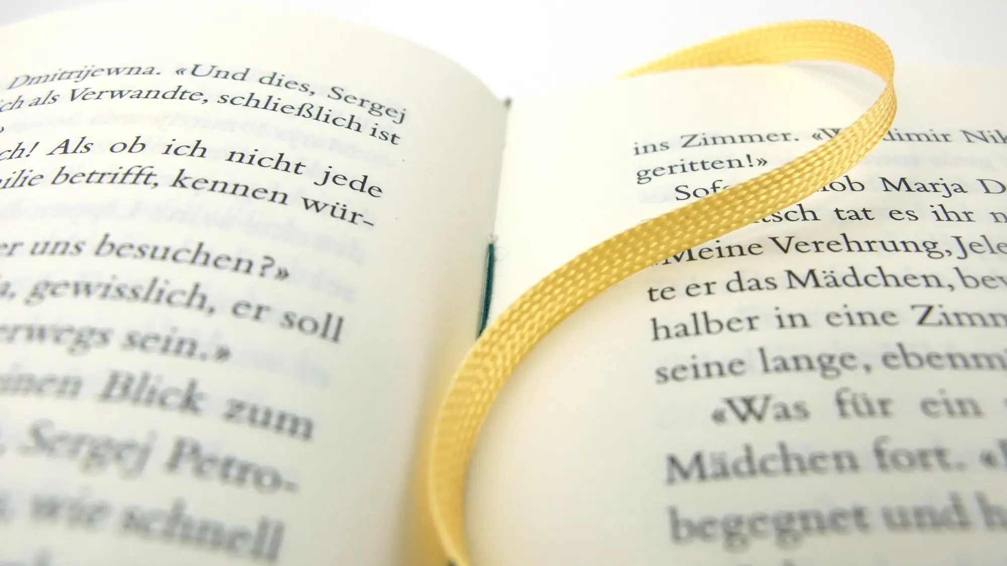 Bild: 9783717524489 | Das Adelsgut | Roman | Iwan Turgenjew | Buch | Manesse Bibliothek