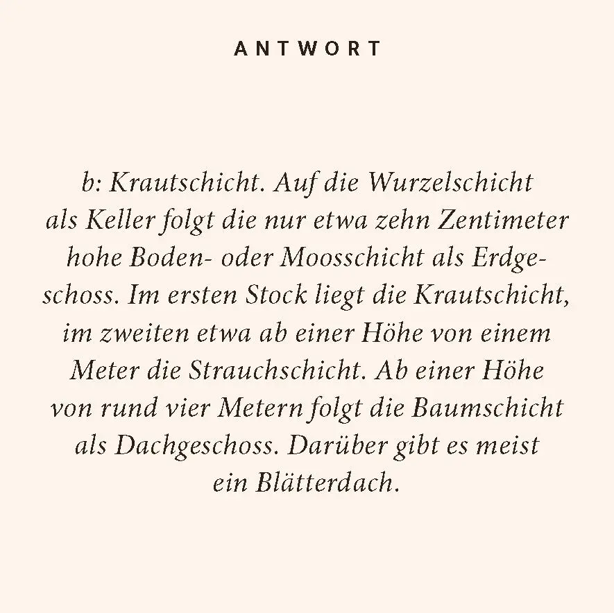 Bild: 9783899784589 | Wald-Quiz | 100 Fragen und Antworten | Birte Stährmann (u. a.) | Buch