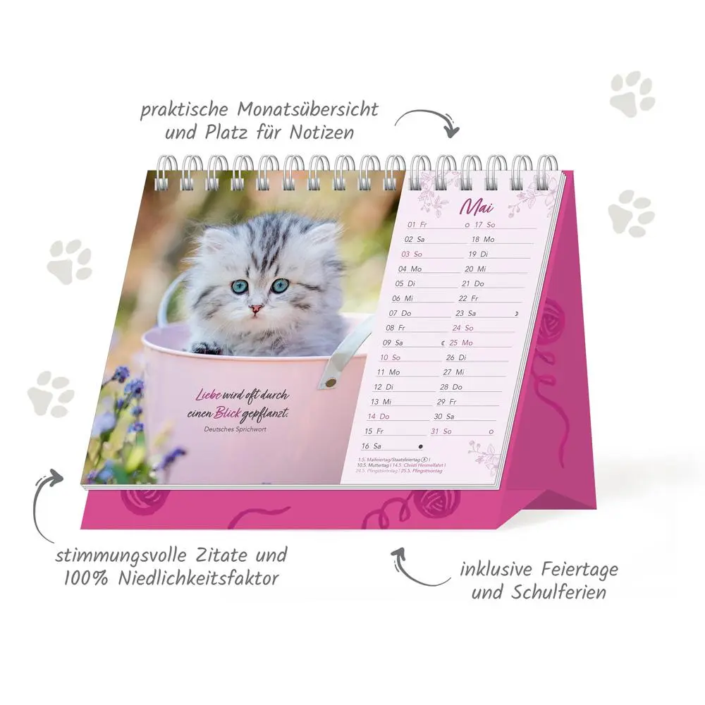 Bild: 9783988024589 | Trötsch Aufstellkalender Samtpfötchen 2026 | KG | Kalender | XXIV