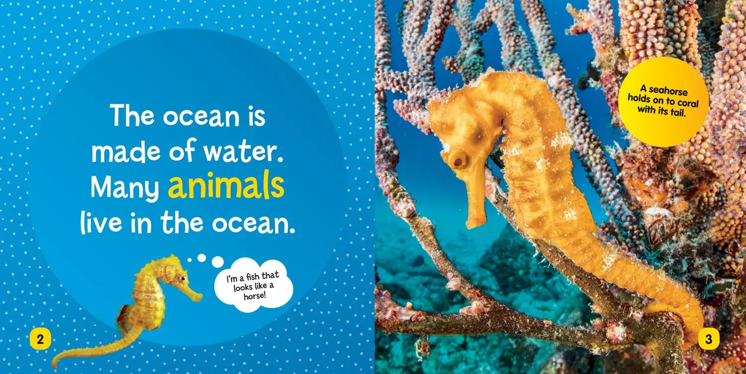 Bild: 9781426334689 | Ocean | Ruth A Musgrave (u. a.) | Buch | Kinder-Pappbuch | Englisch
