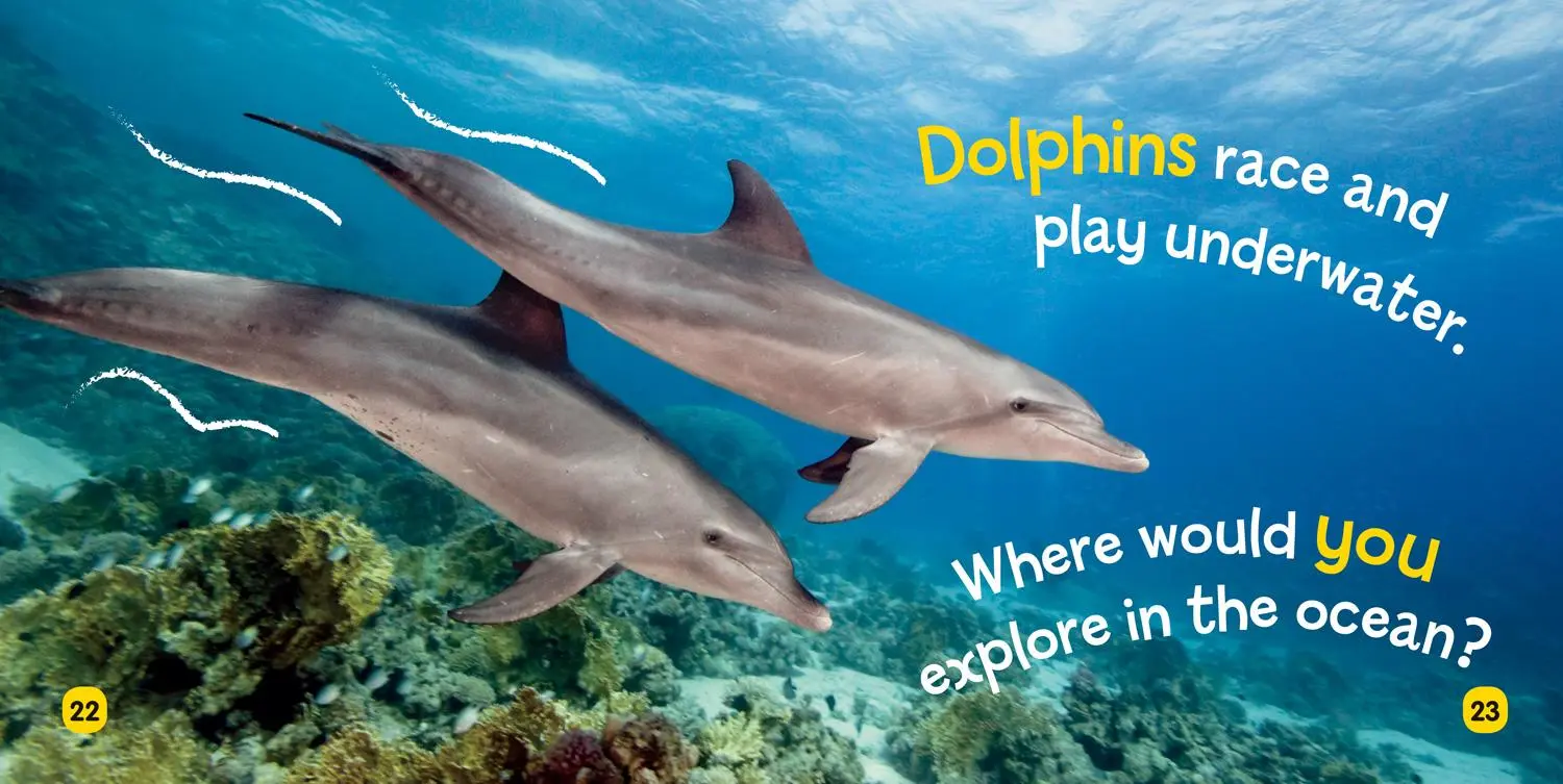 Bild: 9781426334689 | Ocean | Ruth A Musgrave (u. a.) | Buch | Kinder-Pappbuch | Englisch