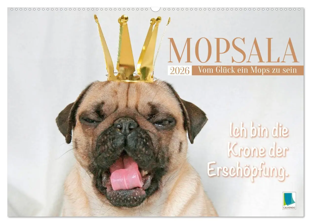 Cover: 9783516604689 | Mopsala: Vom Glück, ein Mops zu sein (Wandkalender 2026 DIN A2...