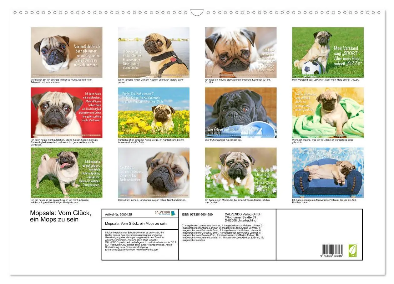 Bild: 9783516604689 | Mopsala: Vom Glück, ein Mops zu sein (Wandkalender 2026 DIN A2...