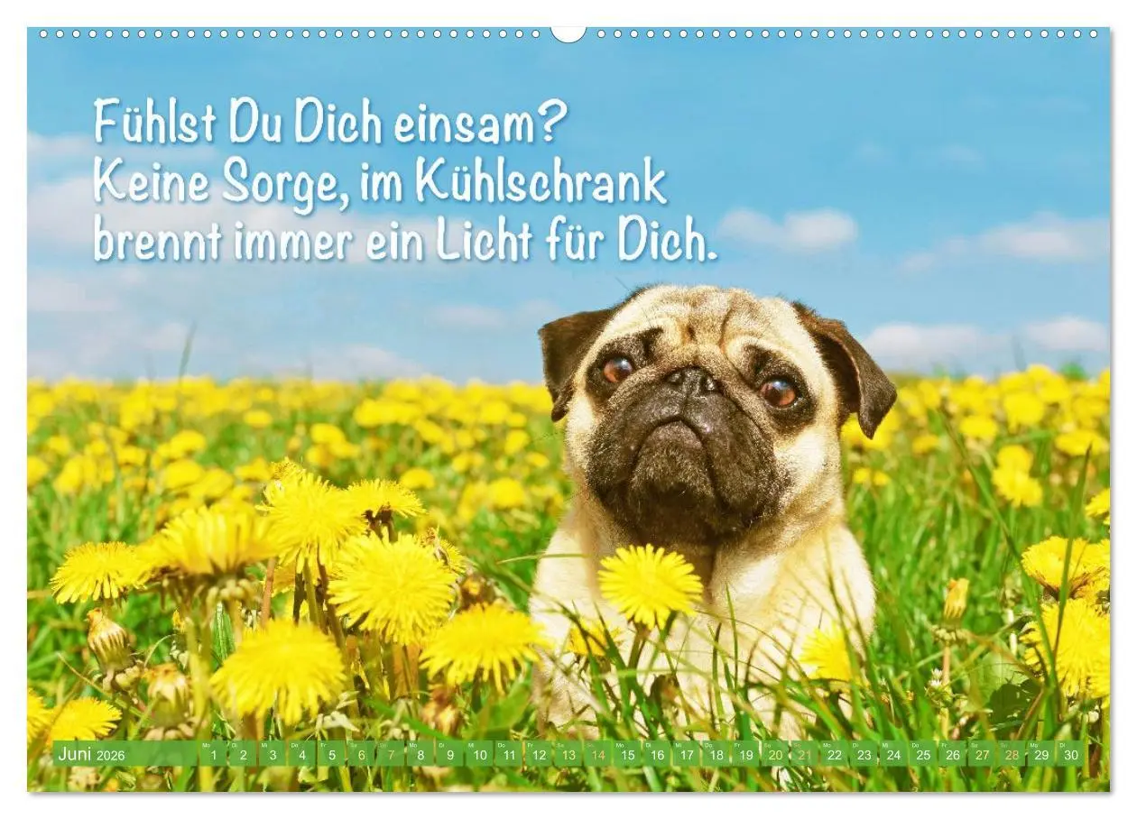 Bild: 9783516604689 | Mopsala: Vom Glück, ein Mops zu sein (Wandkalender 2026 DIN A2...