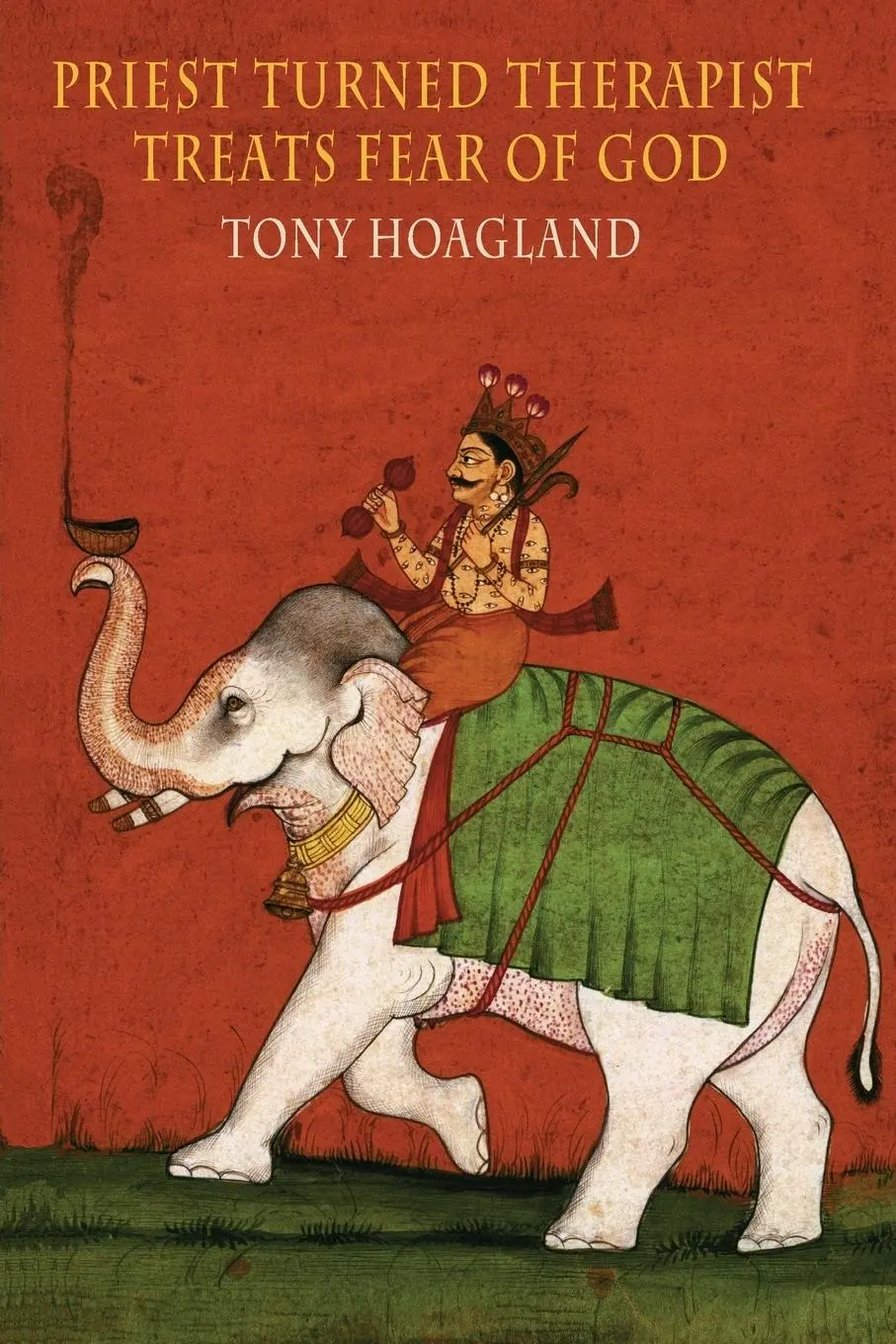 Cover: 9781780374789 | Priest Turned Therapist Treats Fear of God | Tony Hoagland | Buch