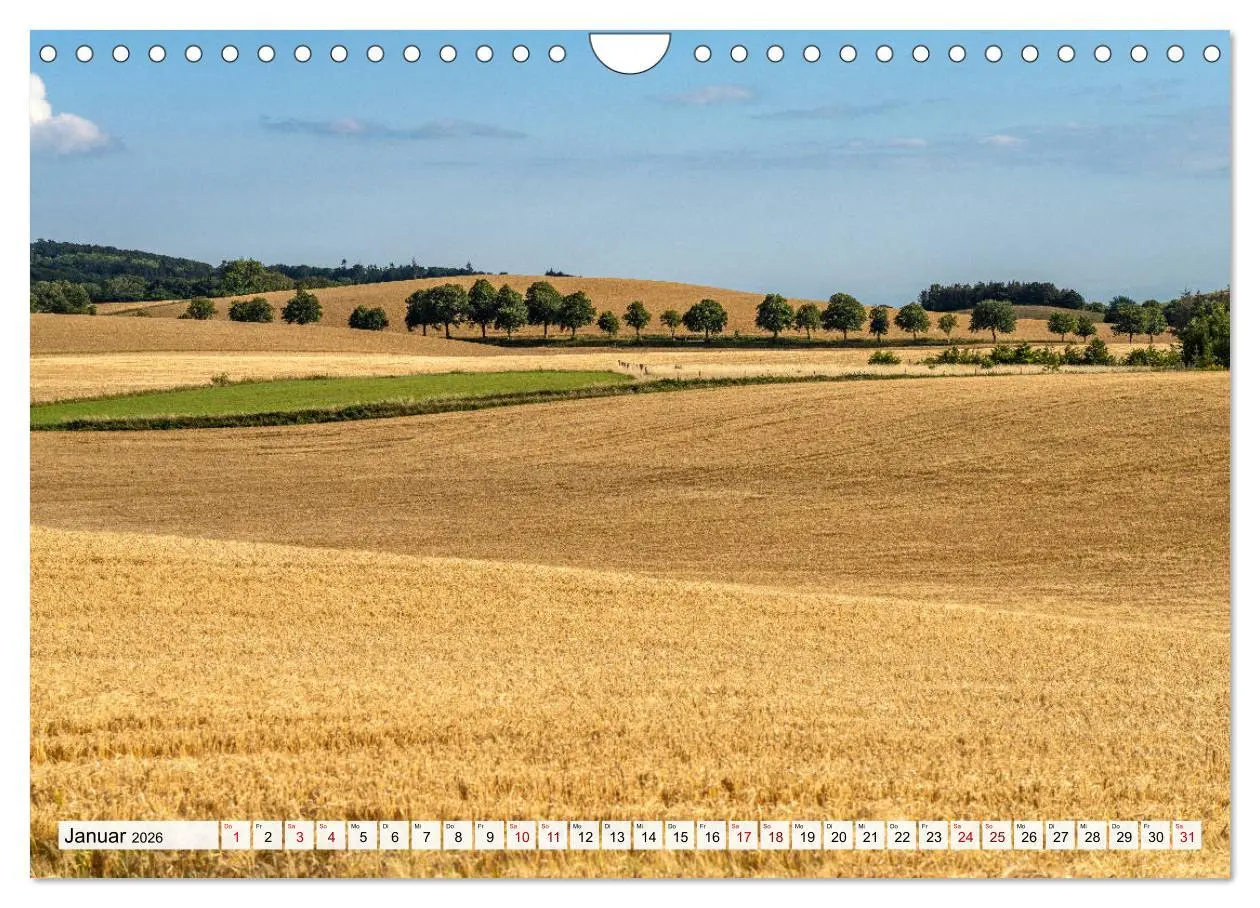 Bild: 9783457674789 | Dänemark - Insel Mön (Wandkalender 2026 DIN A4 quer), CALVENDO...