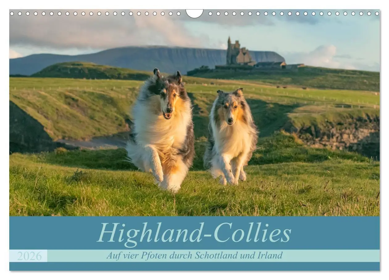 Cover: 9783457744789 | Highland-Collies - Auf vier Pfoten durch Schottland und Irland...