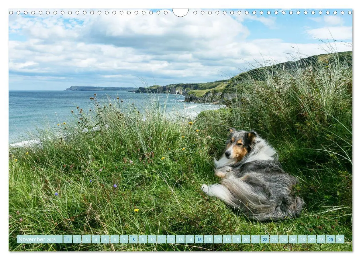 Bild: 9783457744789 | Highland-Collies - Auf vier Pfoten durch Schottland und Irland...