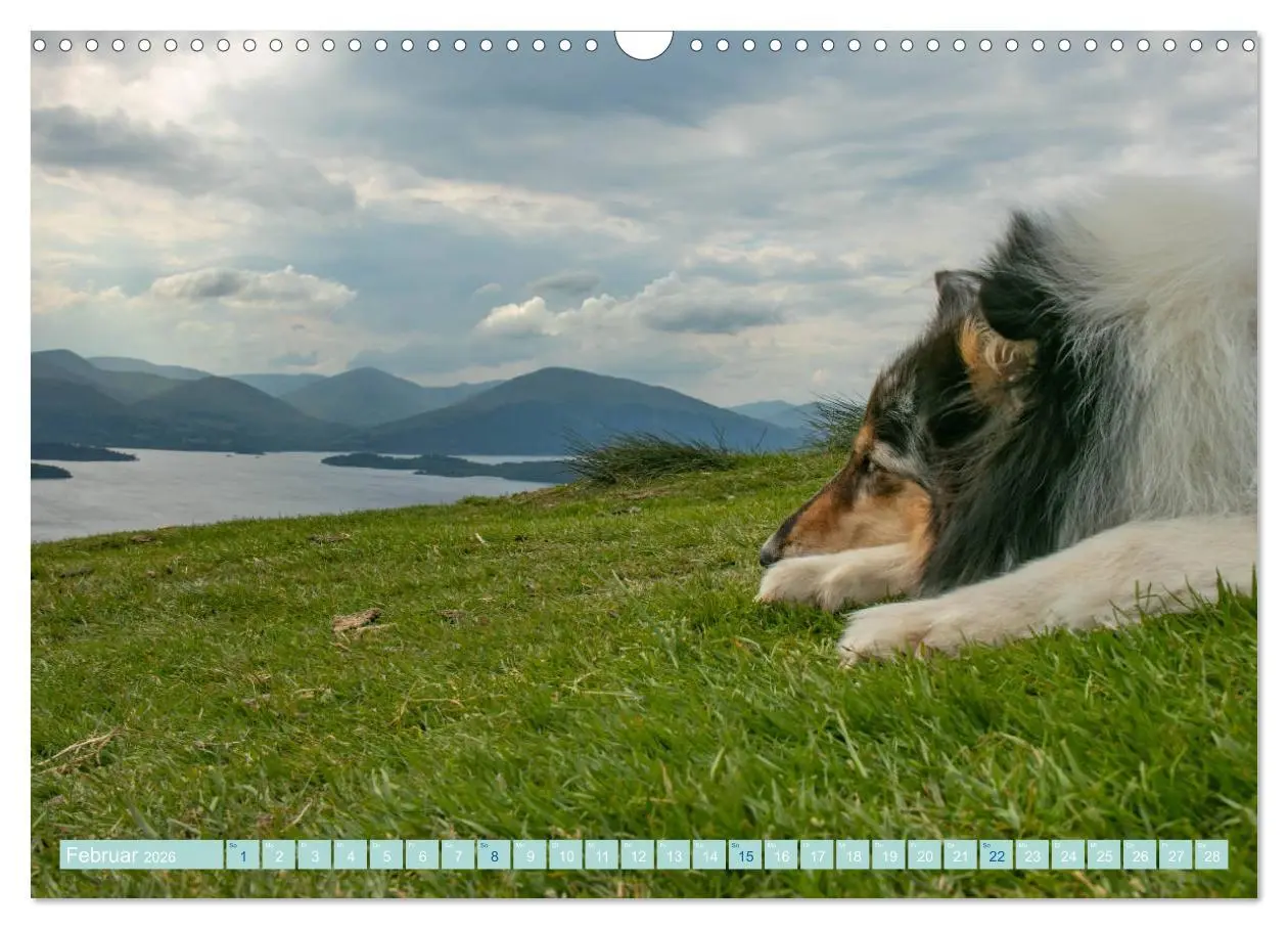 Bild: 9783457744789 | Highland-Collies - Auf vier Pfoten durch Schottland und Irland...