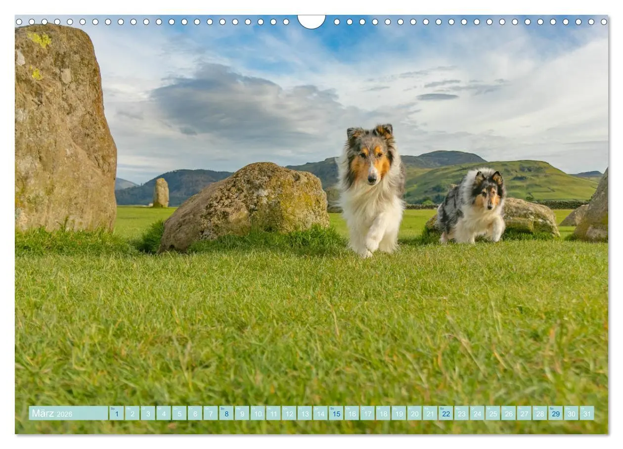 Bild: 9783457744789 | Highland-Collies - Auf vier Pfoten durch Schottland und Irland...