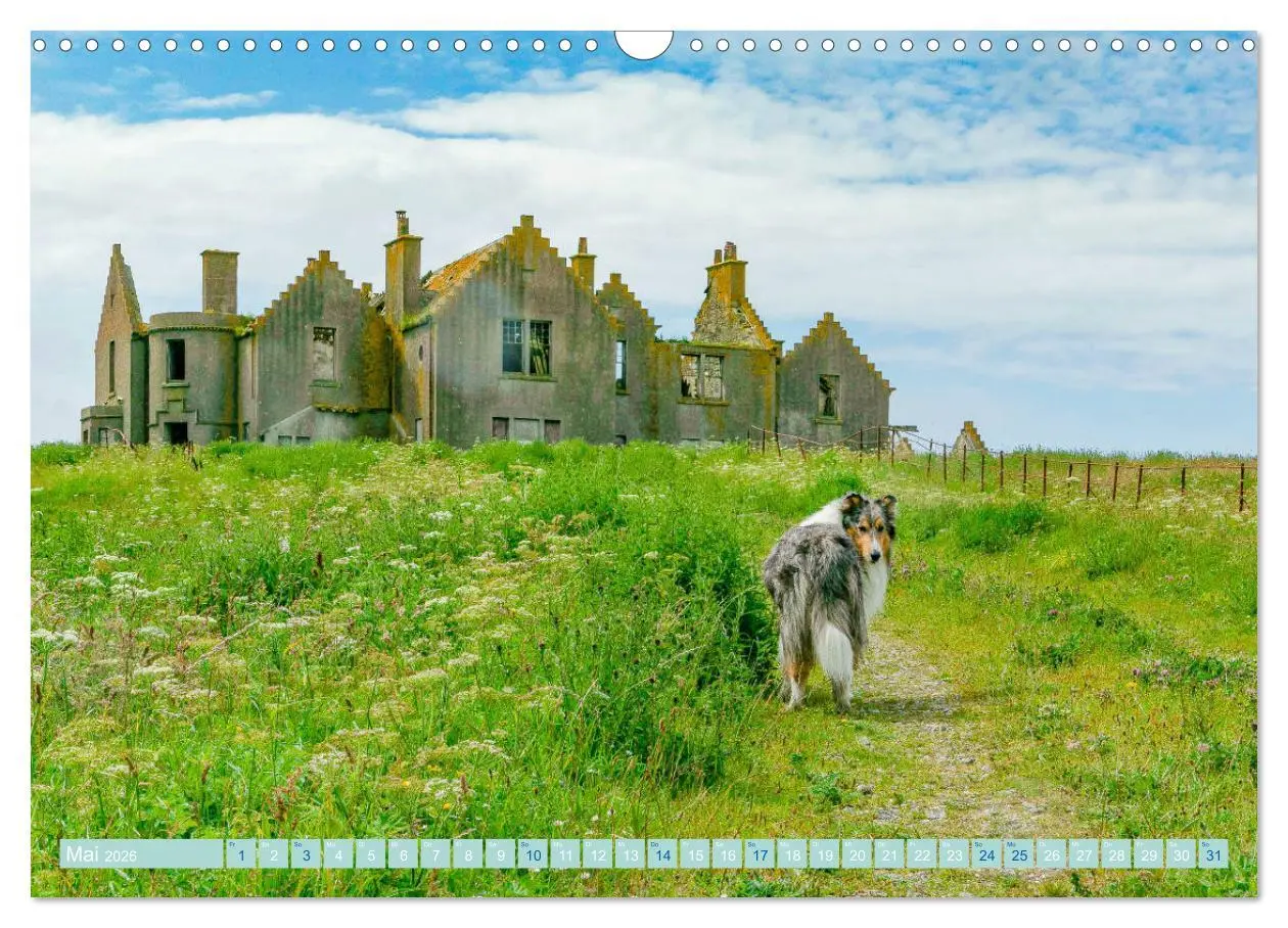 Bild: 9783457744789 | Highland-Collies - Auf vier Pfoten durch Schottland und Irland...