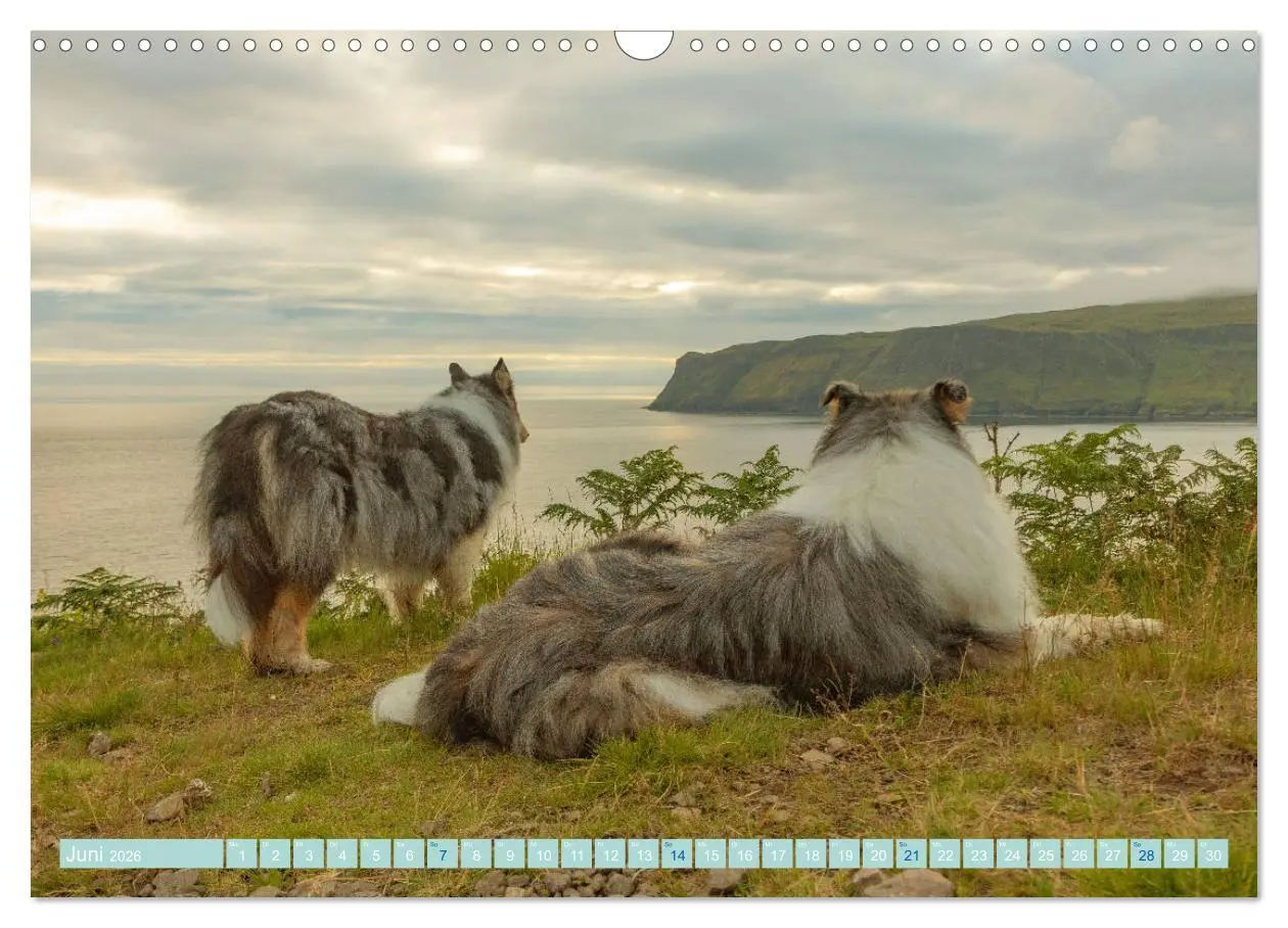 Bild: 9783457744789 | Highland-Collies - Auf vier Pfoten durch Schottland und Irland...