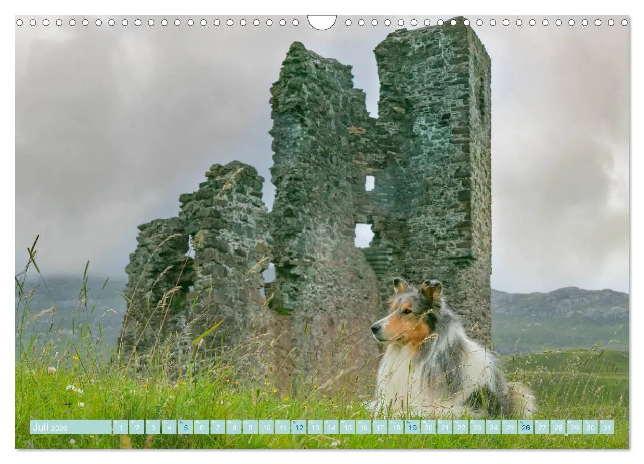 Bild: 9783457744789 | Highland-Collies - Auf vier Pfoten durch Schottland und Irland...
