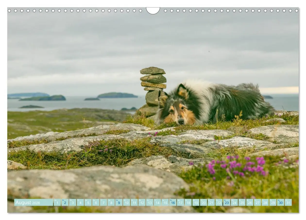 Bild: 9783457744789 | Highland-Collies - Auf vier Pfoten durch Schottland und Irland...
