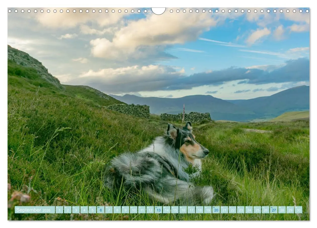 Bild: 9783457744789 | Highland-Collies - Auf vier Pfoten durch Schottland und Irland...