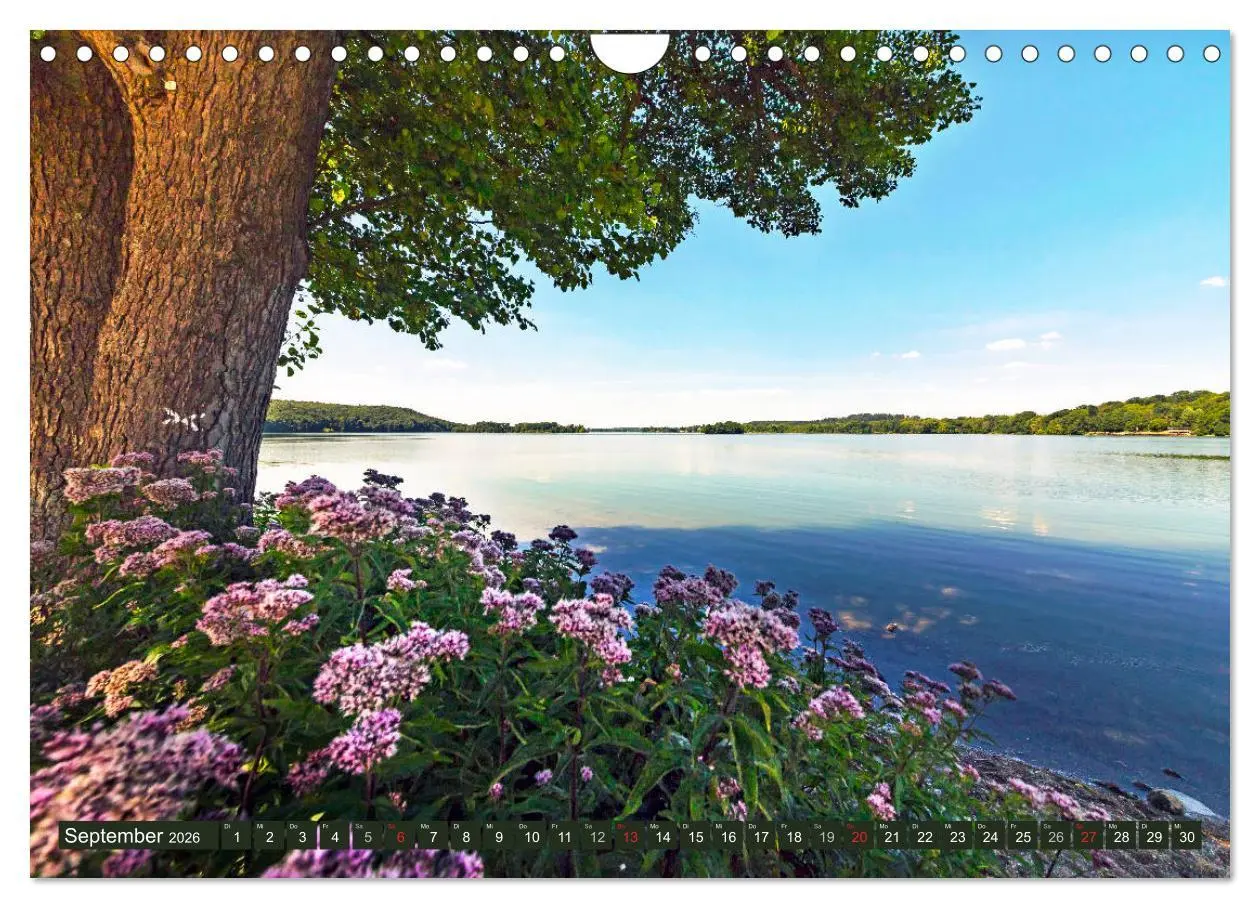 Bild: 9783457814789 | Holsteinische Schweiz - Fünf-Seen-Landschaft (Wandkalender 2026 DIN...