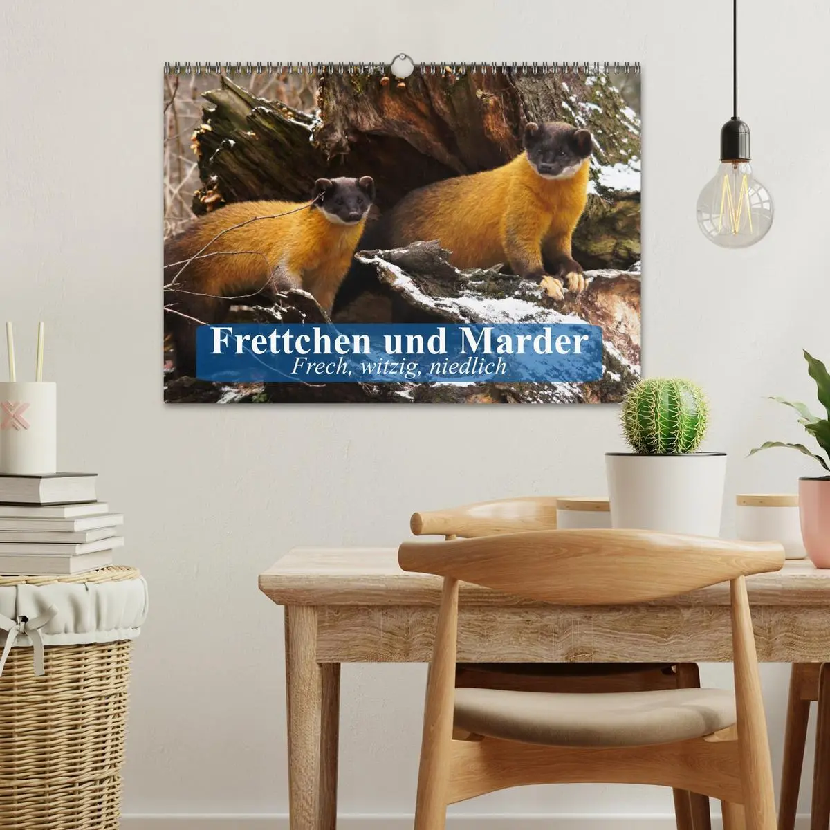 Bild: 9783457984789 | Frettchen und Marder. Frech, witzig, niedlich (Wandkalender 2026...
