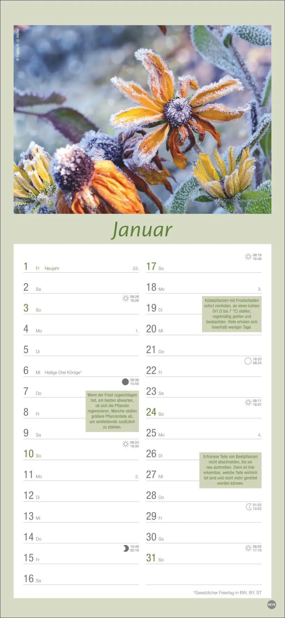 Bild: 9783756414789 | Gartenplaner 2027 | Heye | Kalender | Spiralbindung | 13 S. | Deutsch