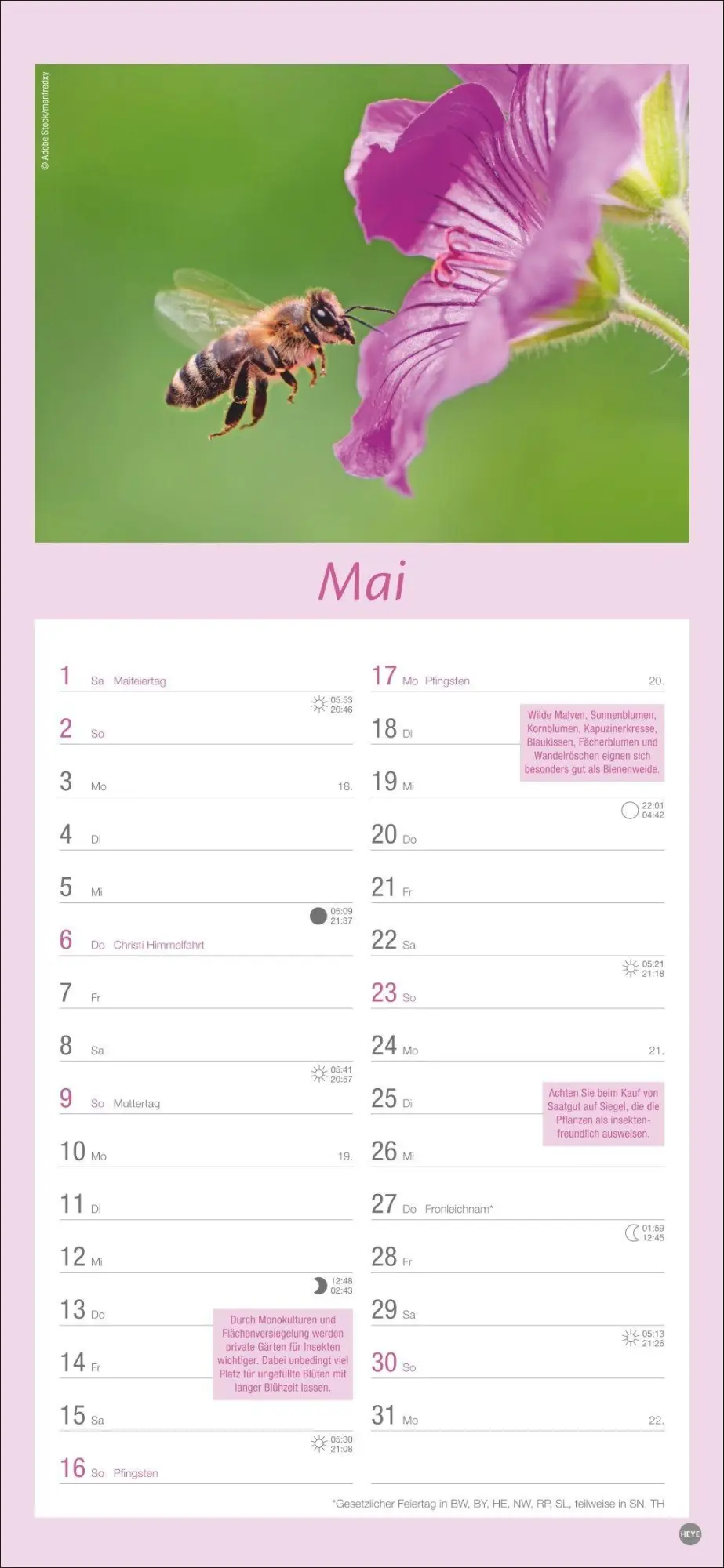 Bild: 9783756414789 | Gartenplaner 2027 | Heye | Kalender | Spiralbindung | 13 S. | Deutsch