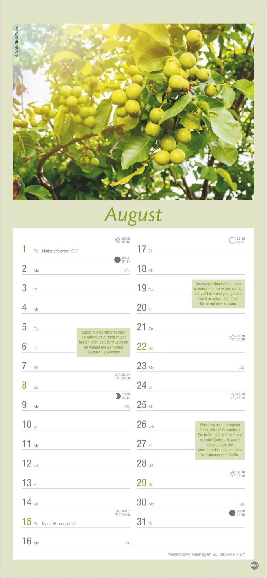 Bild: 9783756414789 | Gartenplaner 2027 | Heye | Kalender | Spiralbindung | 13 S. | Deutsch