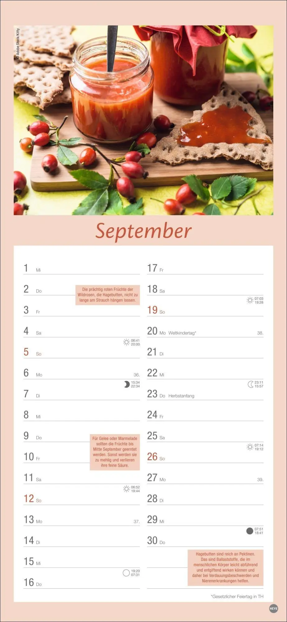 Bild: 9783756414789 | Gartenplaner 2027 | Heye | Kalender | Spiralbindung | 13 S. | Deutsch