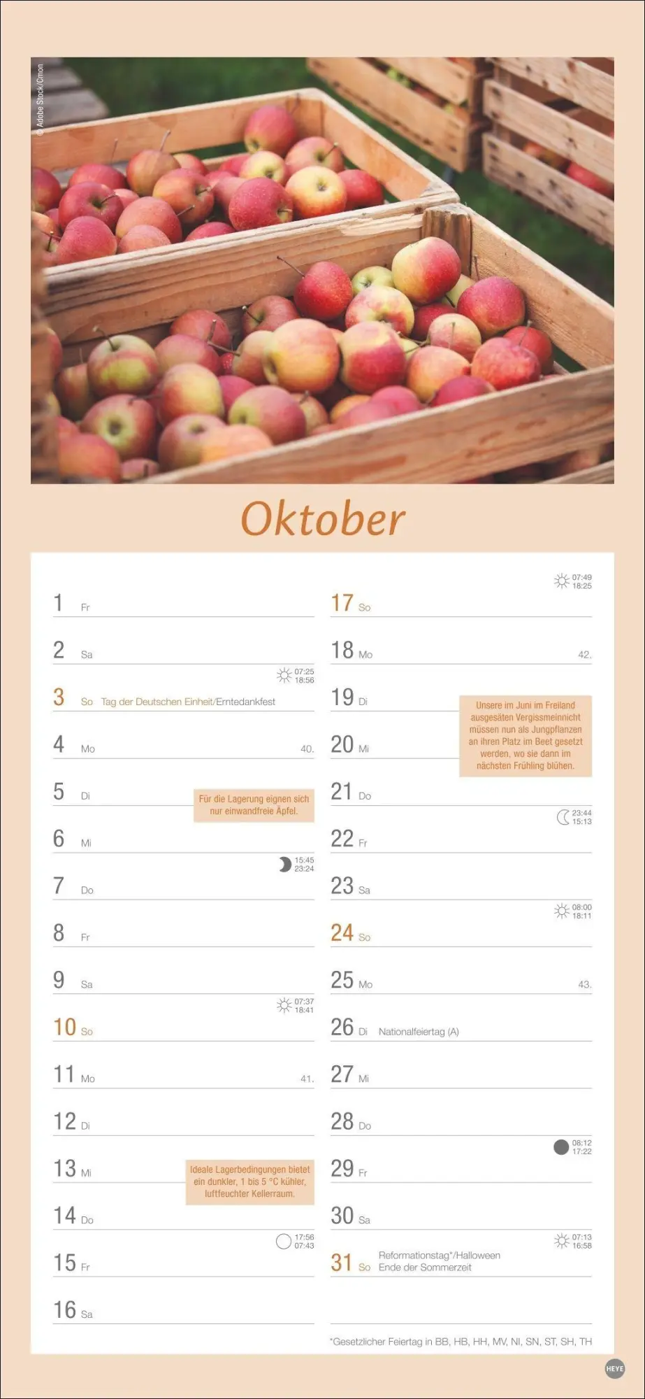 Bild: 9783756414789 | Gartenplaner 2027 | Heye | Kalender | Spiralbindung | 13 S. | Deutsch