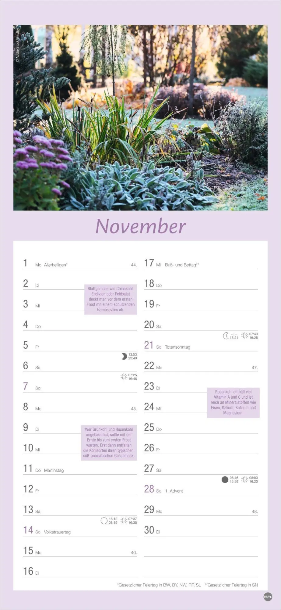 Bild: 9783756414789 | Gartenplaner 2027 | Heye | Kalender | Spiralbindung | 13 S. | Deutsch