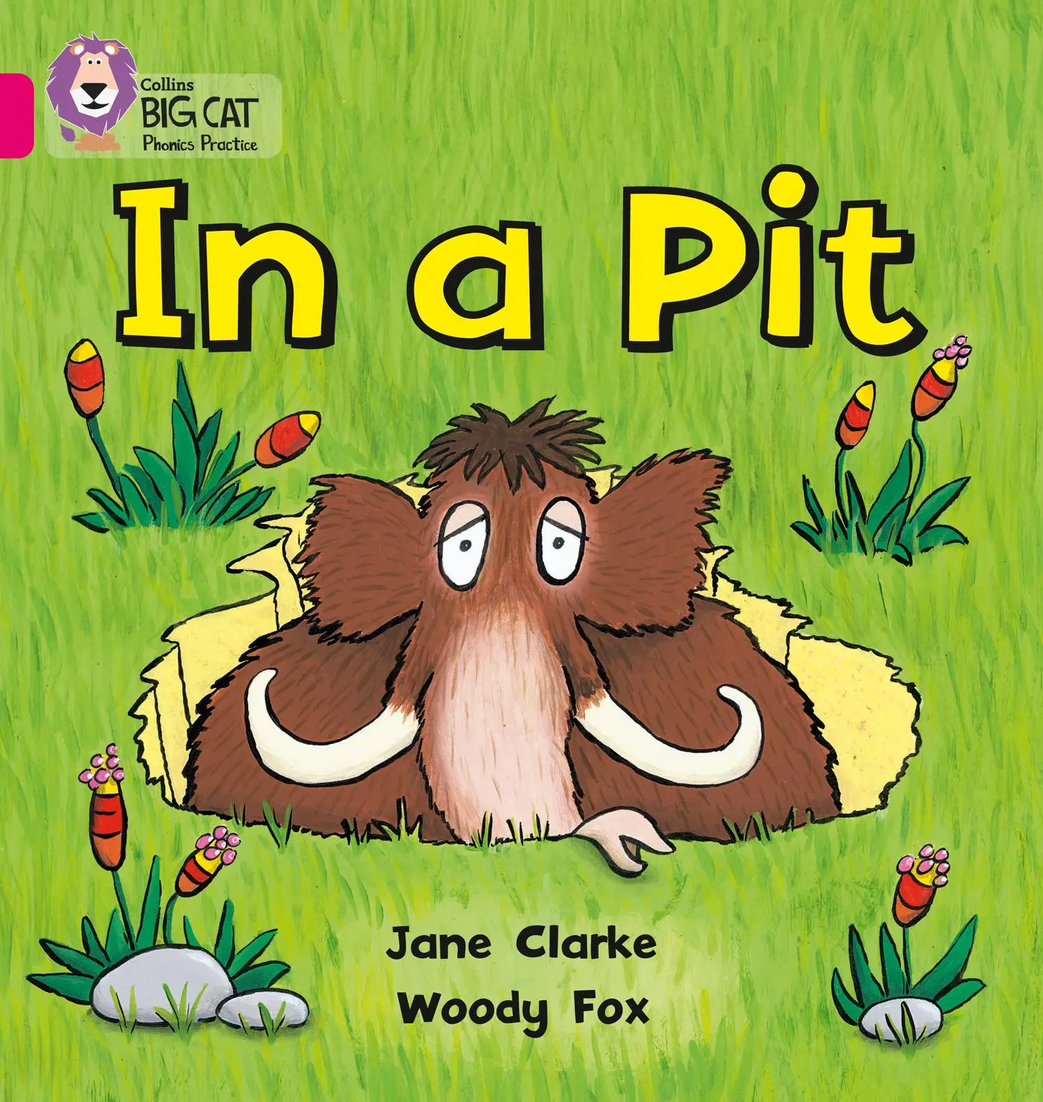 Cover: 9780007334889 | In a Pit | Band 01a/Pink a | Jane Clarke (u. a.) | Taschenbuch | 2010