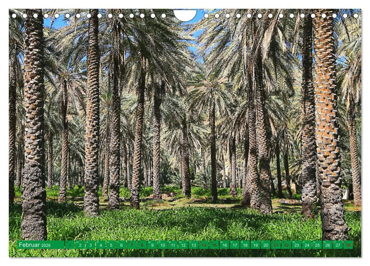 Bild: 9783457594889 | Unterwegs im Weihrauchland Oman (Wandkalender 2026 DIN A4 quer),...