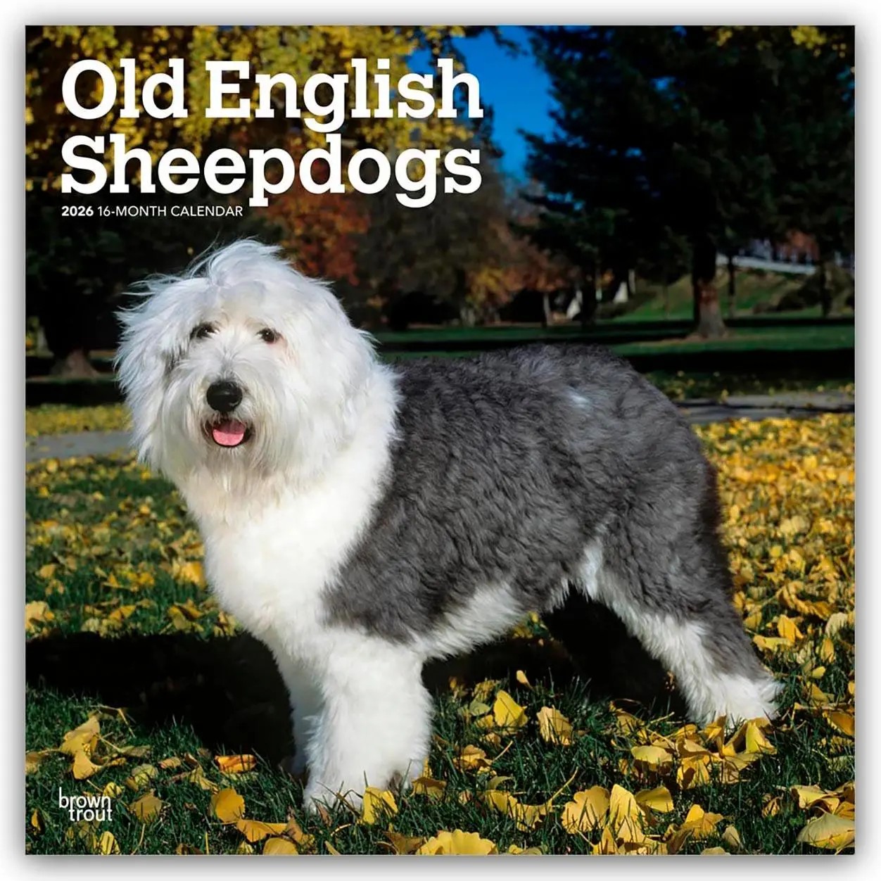 Cover: 9798330704989 | Old English Sheepdog - Bobtail - Altenglischer Schäferhund 2026 -...