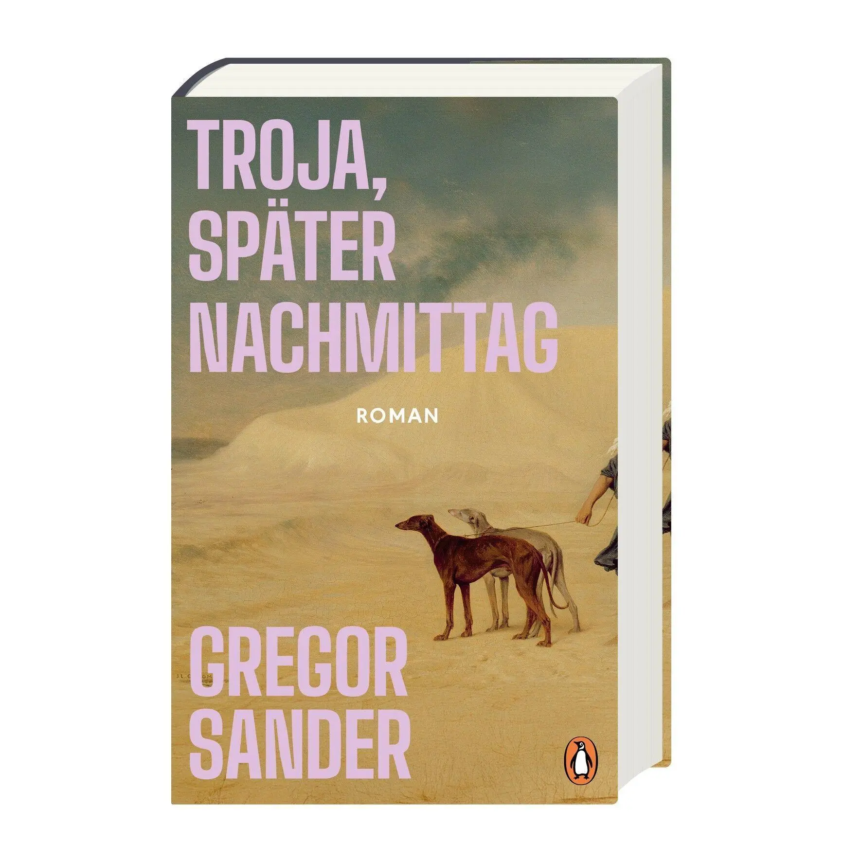 Bild: 9783328605089 | Troja, später Nachmittag | Roman | Gregor Sander | Buch | 320 S.