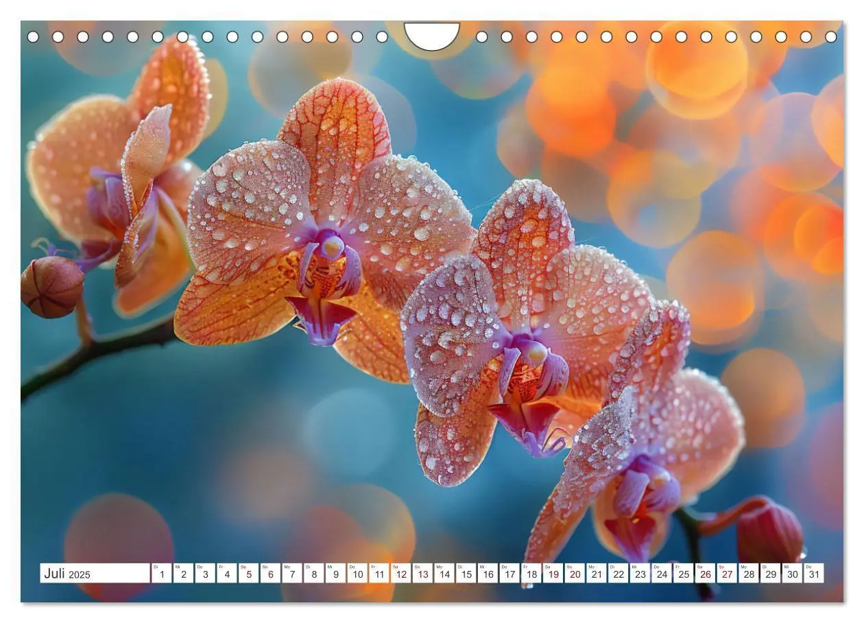 Bild: 9783457165089 | Orchideen - farbenfroh durchs Jahr (Wandkalender 2025 DIN A4 quer),...