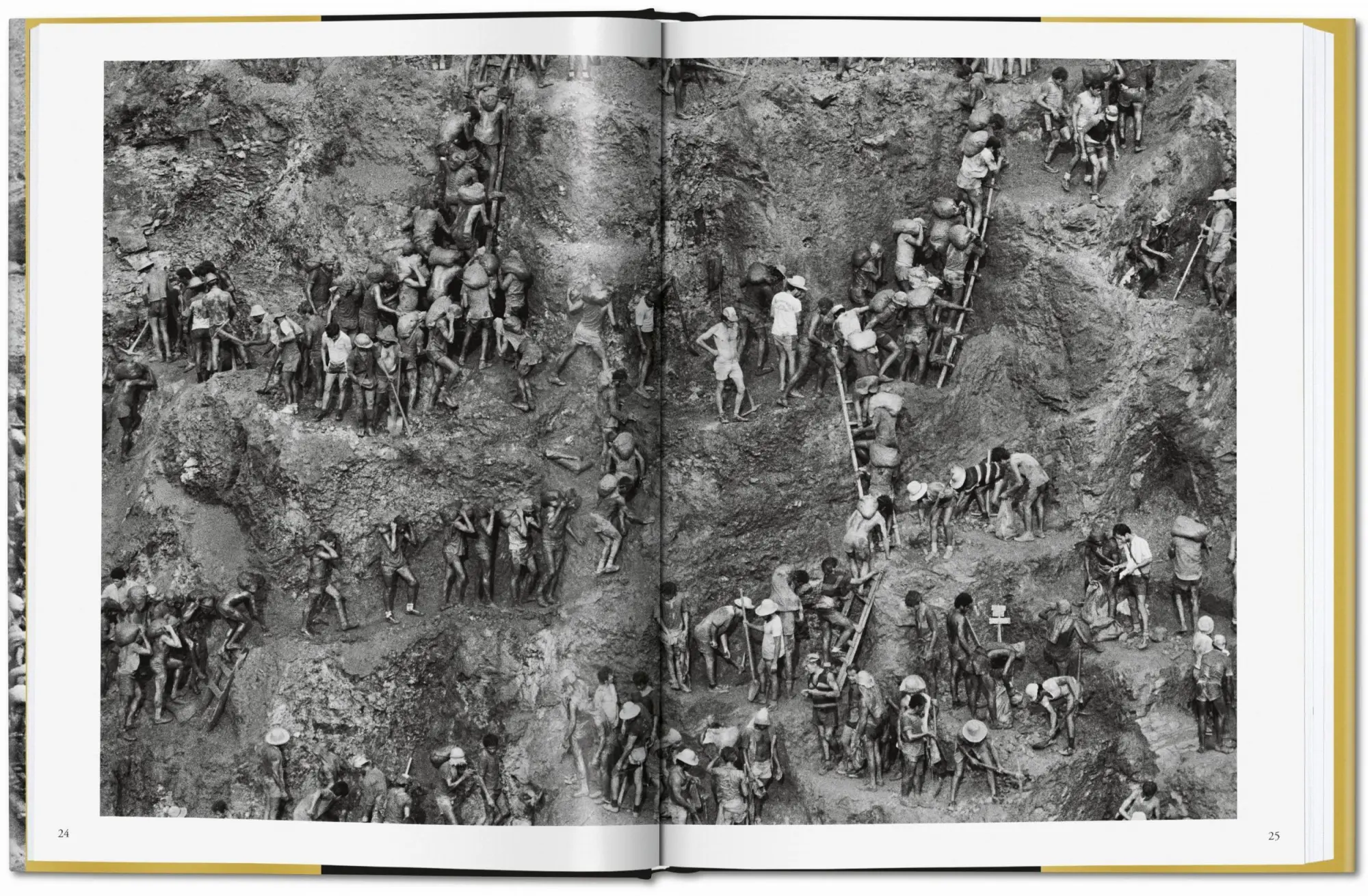 Bild: 9783836575089 | Sebastião Salgado. Gold | Alan Riding | Buch | 208 S. | Deutsch | 2019
