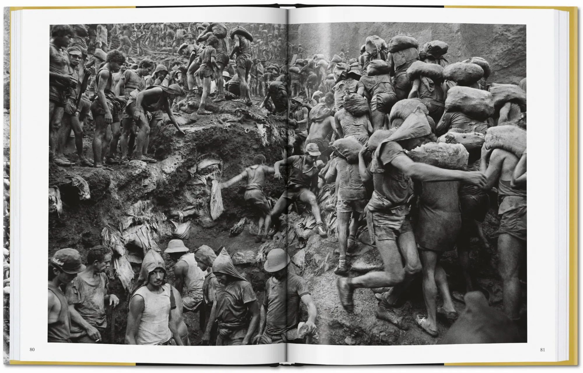 Bild: 9783836575089 | Sebastião Salgado. Gold | Alan Riding | Buch | 208 S. | Deutsch | 2019