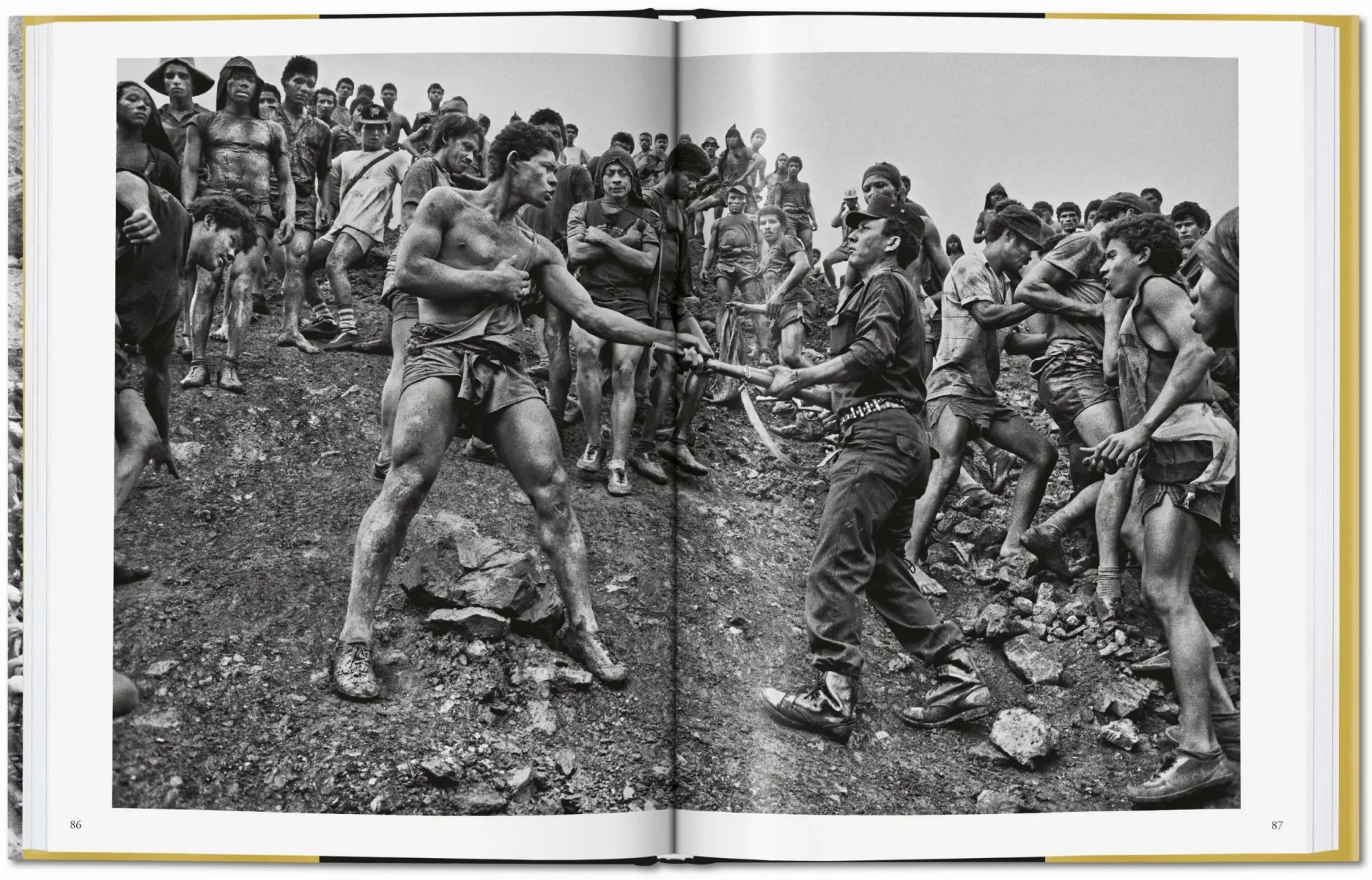 Bild: 9783836575089 | Sebastião Salgado. Gold | Alan Riding | Buch | 208 S. | Deutsch | 2019
